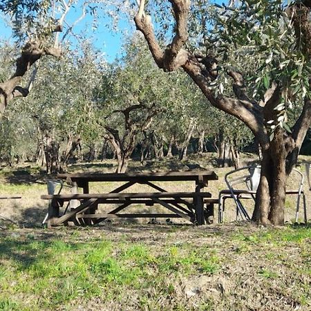 Agriturismo Cele Celle Ligure Eksteriør bilde