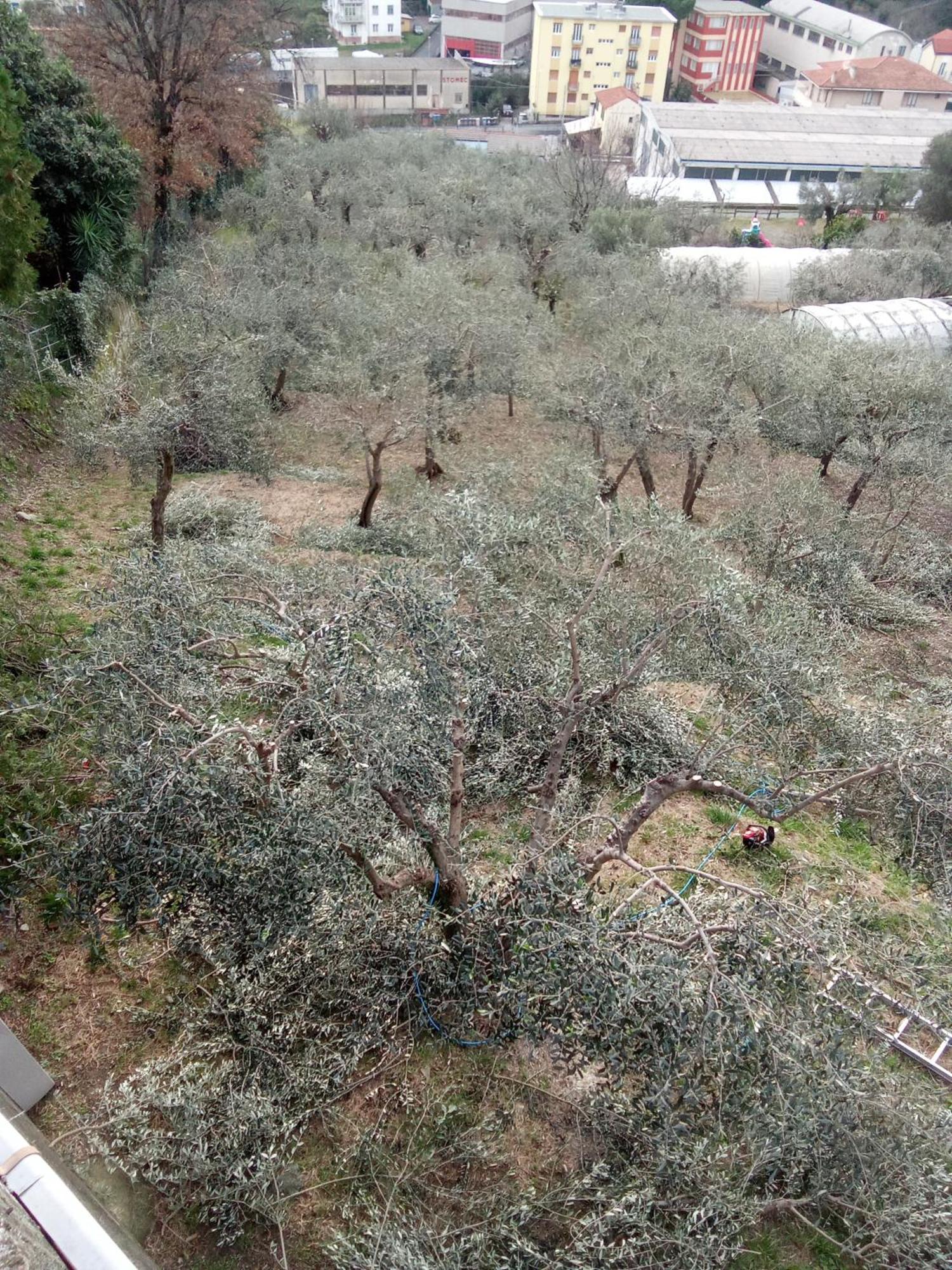 Agriturismo Cele Celle Ligure Eksteriør bilde