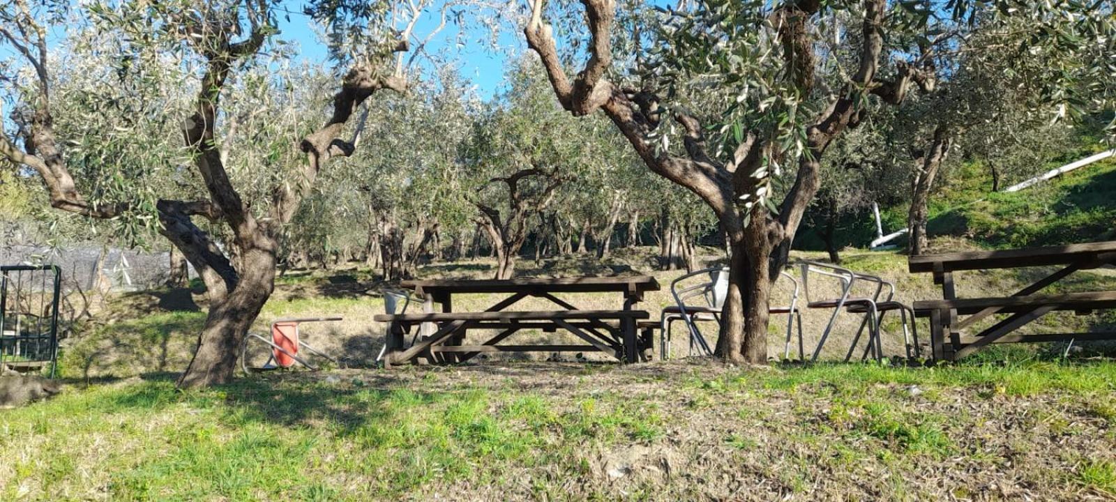 Agriturismo Cele Celle Ligure Eksteriør bilde