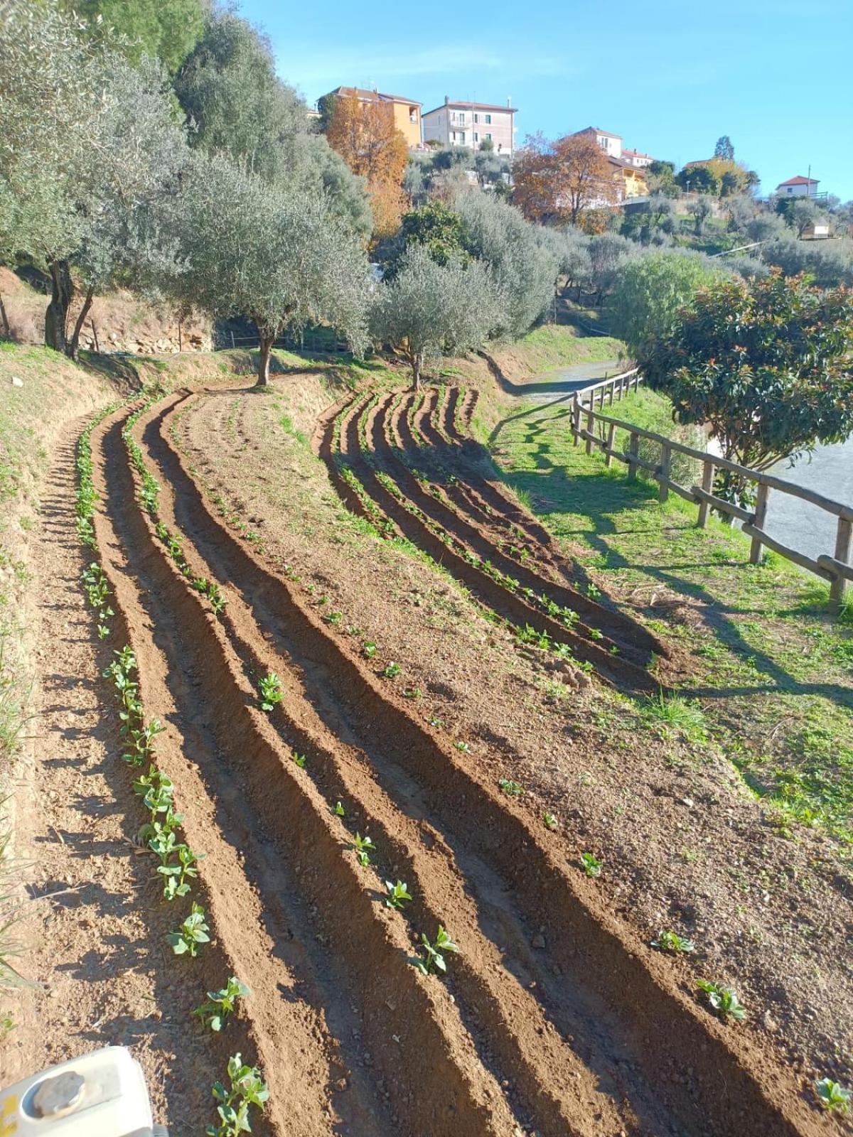 Agriturismo Cele Celle Ligure Eksteriør bilde
