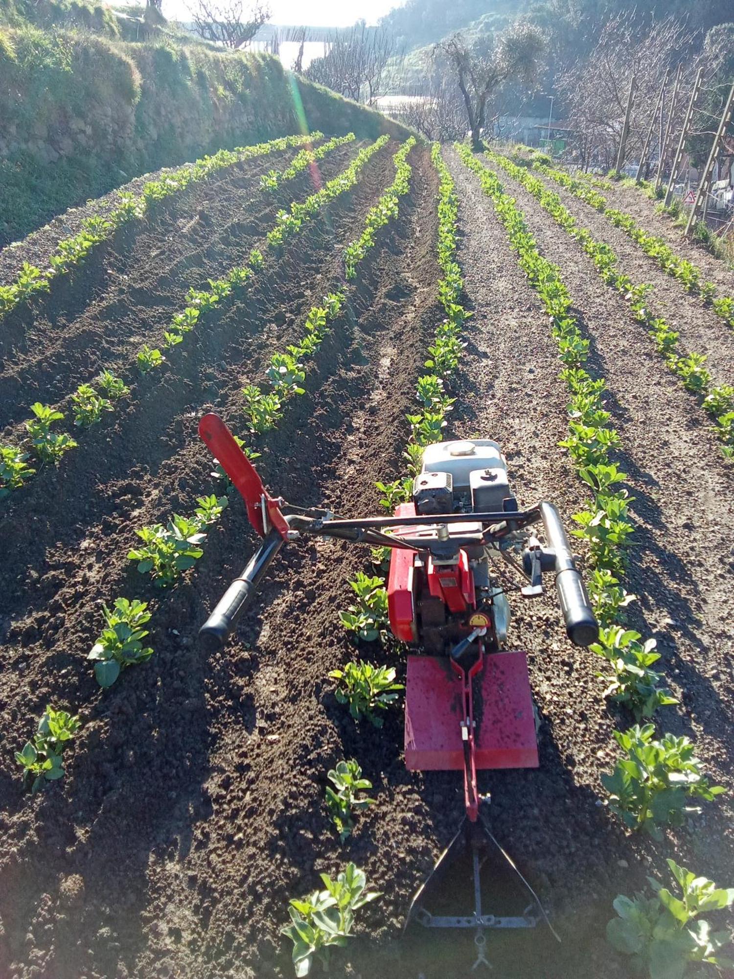Agriturismo Cele Celle Ligure Eksteriør bilde