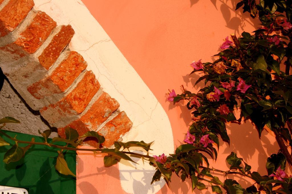 Agriturismo Cele Celle Ligure Eksteriør bilde